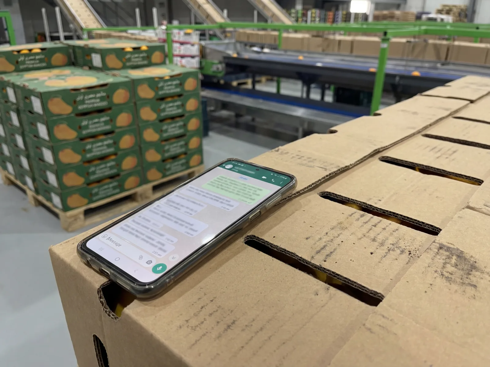 AFRICAFRESH EXPORT — Egyptian fresh-produce export partner