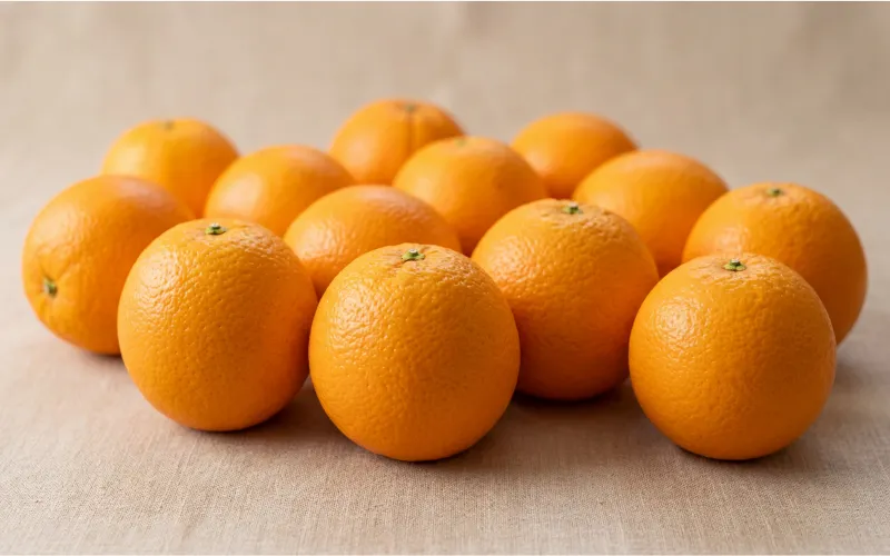 Valencia Oranges — Egyptian fresh produce export by AFRICAFRESH EXPORT